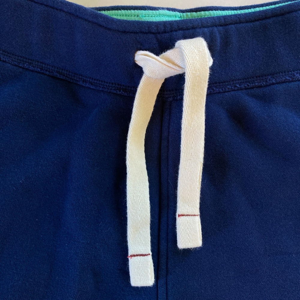 Hollister Embroidered Jogger Sweat Shorts Drawstring Blue Green Y2K (Size M) - Picture 3 of 11